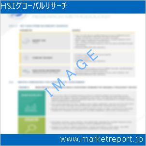 市場と産業調査レポートのイメージ